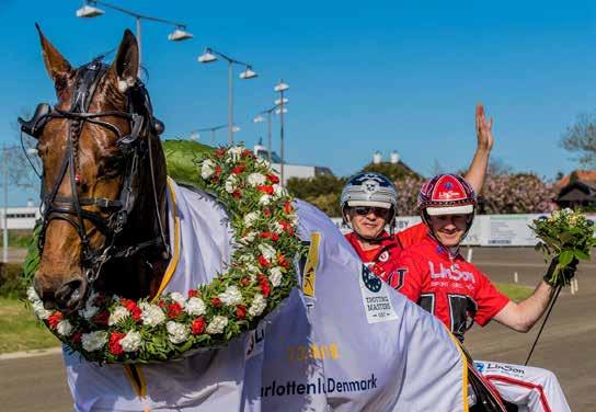 HalmstadTravet Måndag