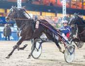 delad; ljlå Martijn de Haan /0- /0 0,a c c 0, 0' Martijn de Haan (Patricia van der Meer) a Martijn de Haan /- /0,a c, ' ALLYHILLS VII 0:, AK *, K, AM Total: -- 0.