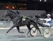 , Danmar Birger örgs h /- 000,a,0 - Äg: Niels Lars Sondrup, Danmar eppe l /- /0,a c c,0 0' Blå, vit il, gula ärmindlar; vit Peter Ingves Å /- /0,a c c, 0' * Peter Ingves (Lars S Niels) a Peter Ingves