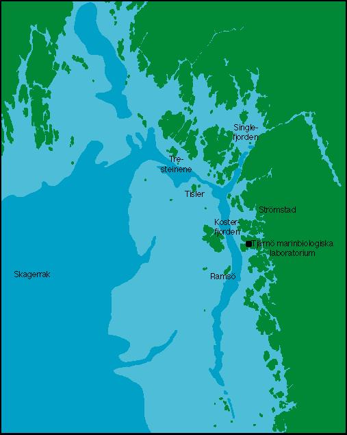 KOSTERFJORDEN Saltö Ramskär 10 km Väderöarna Karta: Martin Larsvik Fig.