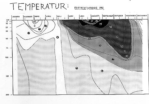 KOSTERFJORDEN Fig. 3 Temperaturens ( C) variation på olika djup i Kosterfjorden 1981. Bottentemperaturen håller sig i det närmaste konstant runt 4 eller lite drygt under sommarmånaderna.