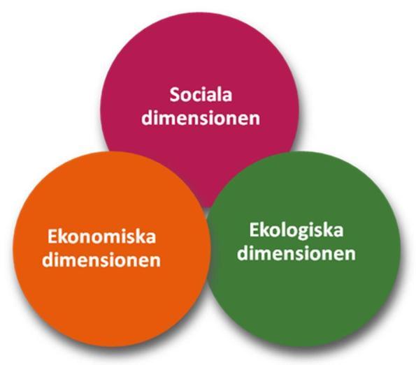 Social resursnämnd är processägare för tre prioriterade mål i budgeten Öka förutsättningar till goda livschanser för alla Göteborgare och därmed utjämna livschanser Skillnader i