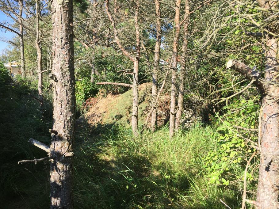 Bebyggelsen består av fritidshus, arrendestugor och året-runt-boende. Strandlinjen går cirka 220 meter väster om planområdet.