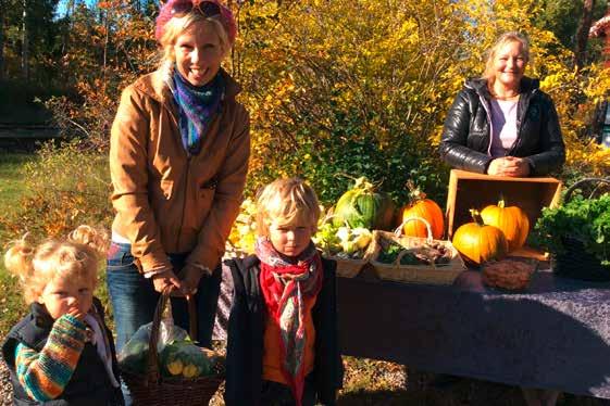 Foto: Birgitta Carlsson En unik manifestation för en hållbar framtid Alla välkomnas att medverka och sprida positiva exempel på hur våra samhällen ställer om till en hållbar framtid.