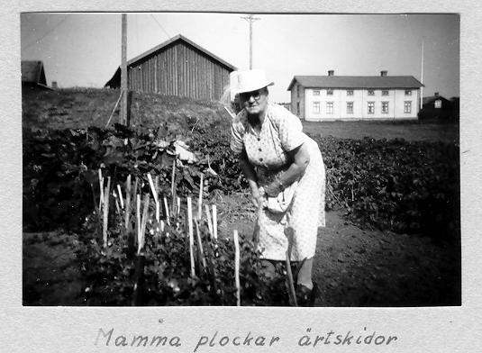 Foto: Lilly Olofsson som tagit kort av sin mamma. I det vita stora huset i bakgrunden arbetade Helga Lindgren som piga hos familjen Karlsson. Det var det största huset på området.