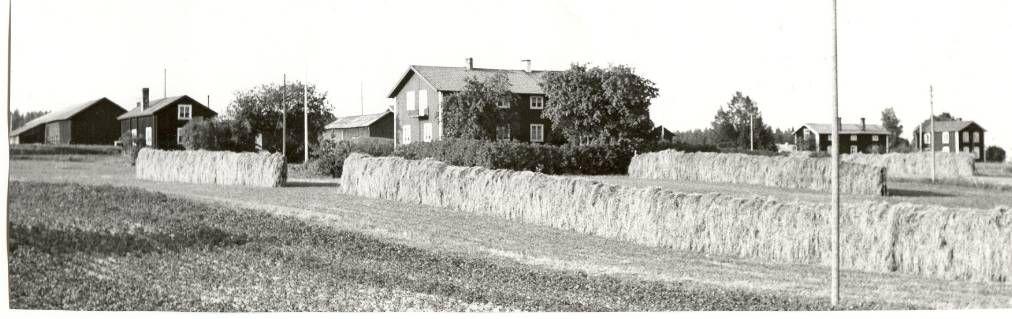 Thelma berättade att de och Karlssons barn hade så mycket med varandra att de nästan upplevde sig som systrar och bröder.