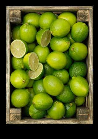 LIME Brasilien. Klass 1.