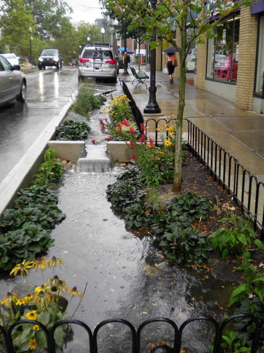 Figur 4 Exempel Rain Garden (Källa: http://www.statecollegepa.us/2502/allen-street- Rain-Gardens) 4.