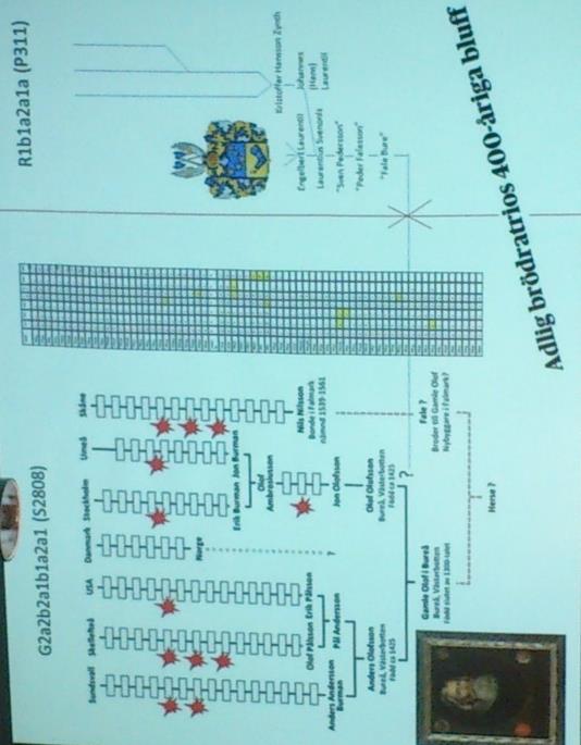 Bilden ovan visar Magnus Bäckmark (foto: Lena Sundberg) Bilden till vänster visar hur ett resultat i DNA forskningen kan se ut.