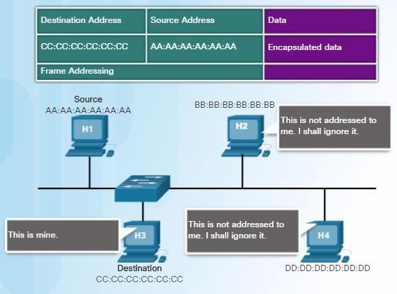 Adressering i Datalänksskiktet MAC adresser refereras oftast som burned-in-address (BIA) vilket syftar att de programmeras in redan vid tillverkning.