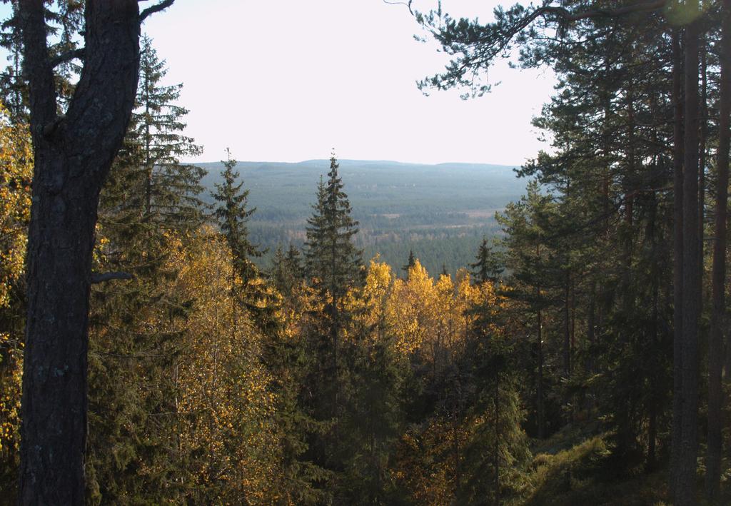 Påbörja 2014 Skog på kommunal mark ska skötas så att arealen gammal skog och äldre lövrik skog samt mängden grov död ved ökar.