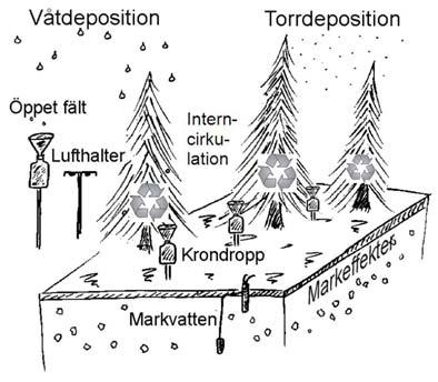 Övervakning av luftföroreningar i Skåne län. Resultat hydrologiskt år 7/ resp. kalenderår 7.