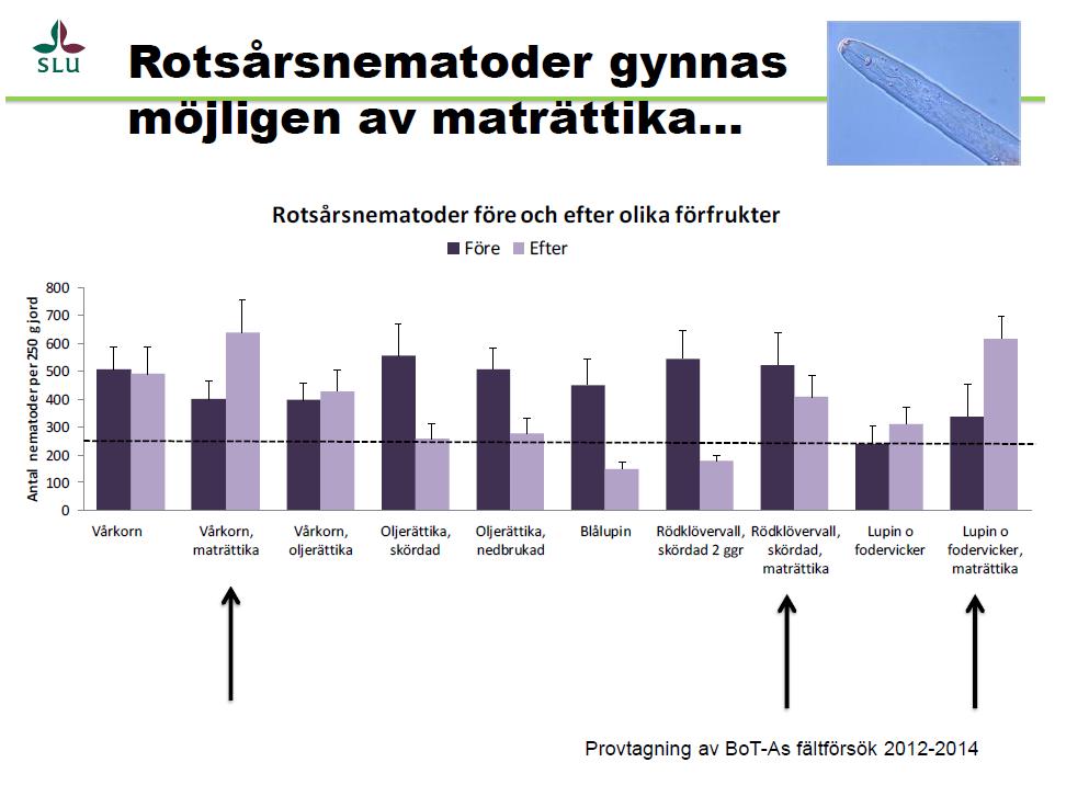 Källa: Anita