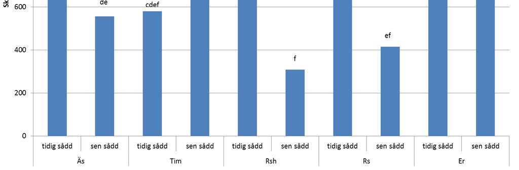 Skörd av ängssvingel (Äs), timotej (Tim), rörsvingelhybrid (Rsh), rörsvingel (Rs) och engelskt rajgräs