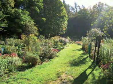 Gröna kilar - planteringar och material Trädplanteringar Trädplanteringarna i de gröna kilarna har en annan karaktär än träd i omgivningen, exempelvis bergskörsbär Prunus sargentii, fylldblommigt