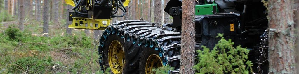 Utvecklingsdirektör Eira Varis Norra