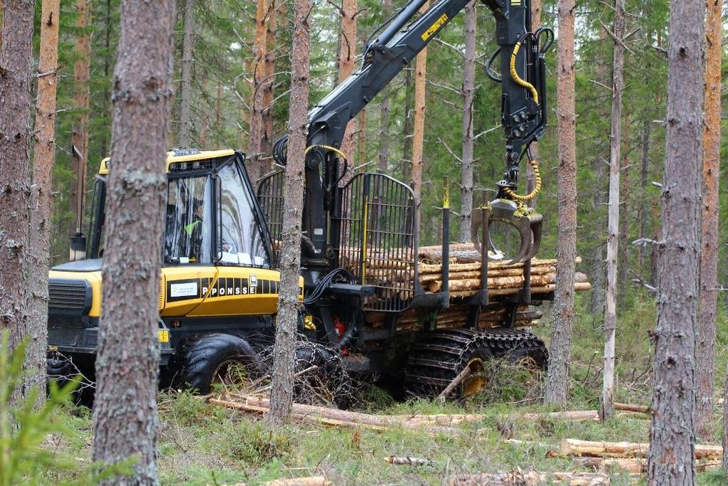 Två tredjedelar av världens skogsmaskiner tillverkas