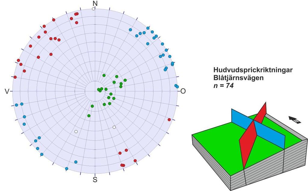 10 (16) Figur 4. Stereografisk presentation av uppmätta sprickorienteringar i det aktuella planområdet. Orienteringarna representeras av poler till enskilda sprickplan.
