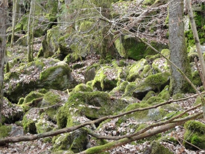 (skrotning), men besiktning av bergsakkunnig skall dock ske efter sprängning och rensning.