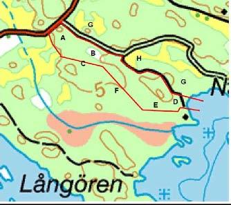 Näsviken GISTVALLEN Skogsbete, gammal betesmark/åker och litet hygge; krissla och C. ferruginea förekommer mot stranden, i kant av gammal åker i söder samt (rikligt) på grannfastigheten (G på kartan).