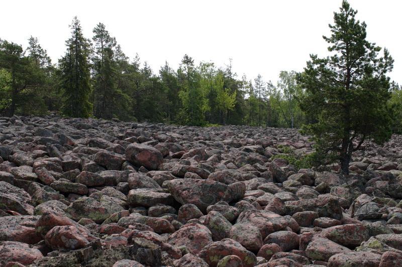 Kvarnsjöskogen Inga åtgärder förutom ett deltagande i reparation av den bortregnade