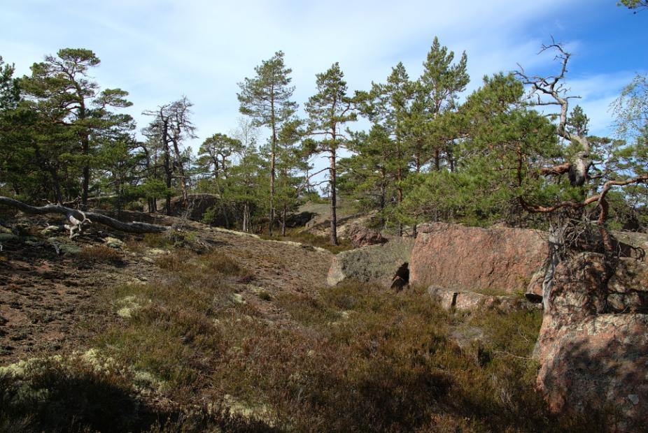 Åsgårda stenåkrar Strandvallar som vaskats fram i den Baltiska issjön för sådär