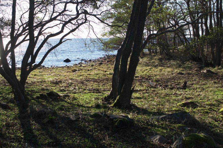 Idskär Ej åtgärder detta år. Föglö: Björkör Översyn av anläggningar har utförts. Städning av stränderna på hemlandet och Koldeskär.