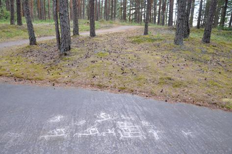 Fig 6.3. Vid Tegneby (Tanum 72:1) finns en nära koppling mellan en grupp ryttarfigurer och ett järnåldersgravfält. Foto: Per Nilsson.