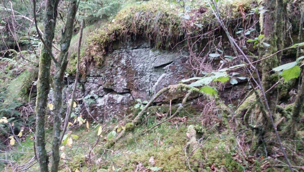 Berggrunden i övriga delen av detaljplaneområdet, med nu kända förhållanden, bedöms ha en god