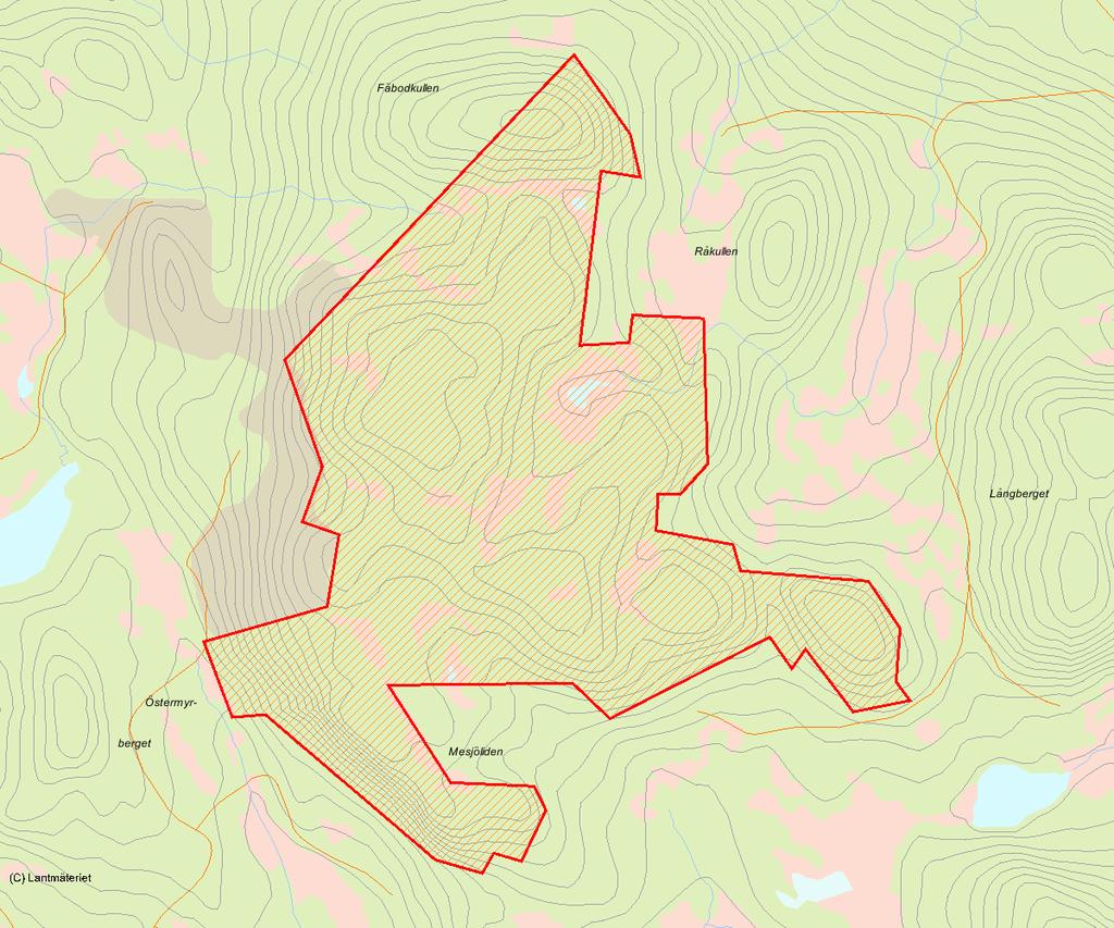 Länsstyrelsens bedömning Mesjöliden är ett stort och högklassigt ur- och naturskogsobjekt med mycket höga naturvärden i form av gamla granar, uråldriga tallar, lövinslag och allmänt rikligt med död