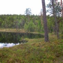 3338 Baksjö Kommun Åsele Totalareal 80 ha Naturgeografisk region 32c Areal land 79 ha Objektskategori U1 Areal vatten 2 ha Markägare Sveaskog Areal produktiv skogsmark 76 ha Ovanför fjällnära gräns