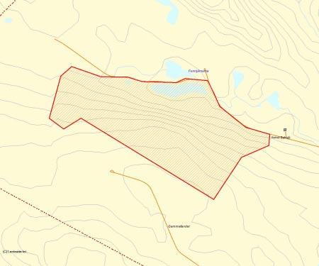 Länsstyrelsens bedömning Området utgörs av en grannaturskog. Naturvärdena är knutna till torrträd och lågor av gran och lövträd samt skiktningen och diameterspridningen i beståndet.