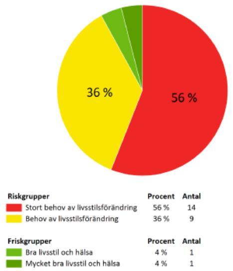 Från risk till frisk!