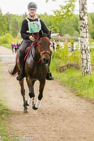 Klubbens övriga evenemang I januari ordnade klubben föreläsning med Annelie Eriksson som föreläste om träning av distanshästar.