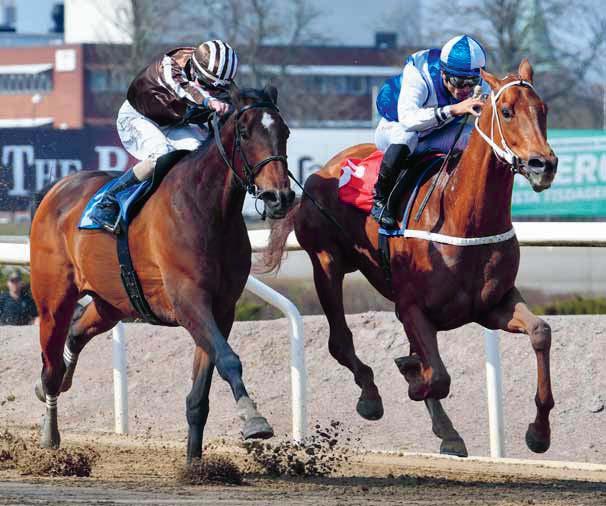 DERBYBANAN JÄGERSRO NR 13 ONSDAG 25 JULI 2018 KL 12.