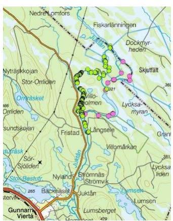 Figur 5. Karta över Likkot grenen och Juktån. Grön punkt och rosa punkt markerar inventering. Figur 6. Biotopkartering nedströms Bredselet.