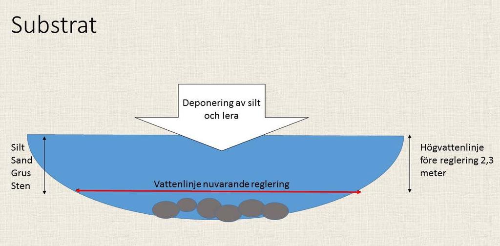 4. Kartläggning av åtgärder och påverkan Inom Umeälvsprojektet utfördes ett inventeringsarbete som ligger till grund för planerat projekt. Åtgärder finns beskrivna i slutrapporten (www.umealven.