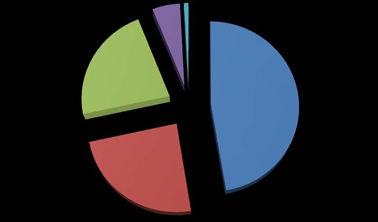 Bilaga A Statistik Kostnadsfördelning 2014 Personal Media Lokaler Övrigt Avskrivningar 5% 1% 22% 48% 24% Tabell 3 Utlån 2014 fördelning per