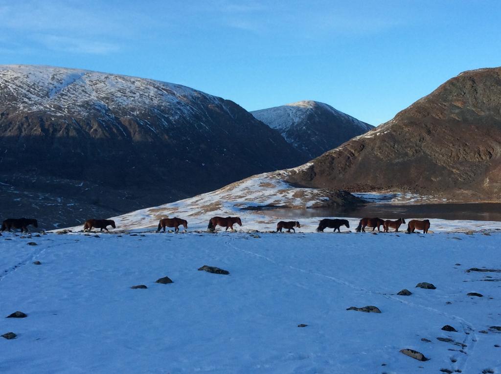 republiken Tuva.