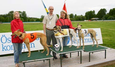 Bästa prestationen gjorde Careless Whisper, äg Wiik/Carlson, MiHK med vinst på 18.68 över 320 m. Tävlingarna ingick i vårserien, en ny tävlingsform för i år.