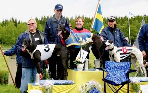 Oaks och Whippetdiv final i Örebro Örebro 11/6 blev en mycket trevlig dag vädermässigt. 7 lopp genomfördes, varav 3 st på sprint och 4 st på medeldistans.