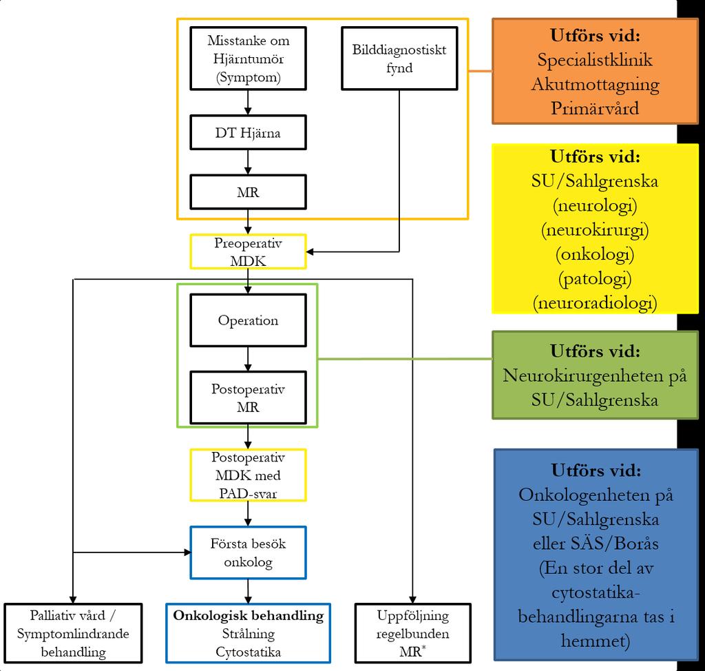 Figur 1: Processkarta primära maligna hjärntumörer VGR Figuren är tidigare publicerad (april 2016) i regional nulägesbeskrivning inför införandet av standardiserat vårdförlopp.