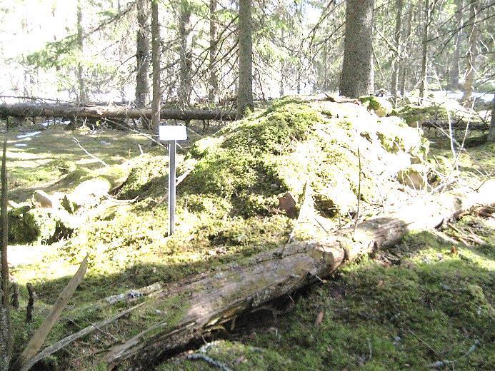 Niklasdal N58 08,868' E16 15,862' 1825 Husgrund 2018 Källargrund 2018 Vattenkälla 2018 Torpet uppfördes