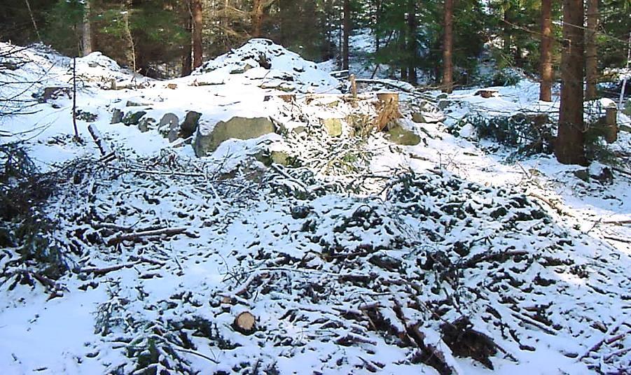Heddullaborg N58 10,321' E16 18,375' 1826 Husgrund 2001 Spisruin 2001 Torpet eller backstugan uppfördes någon gång mellan 1780 och 1814. Torpet brukades under huvudgården.