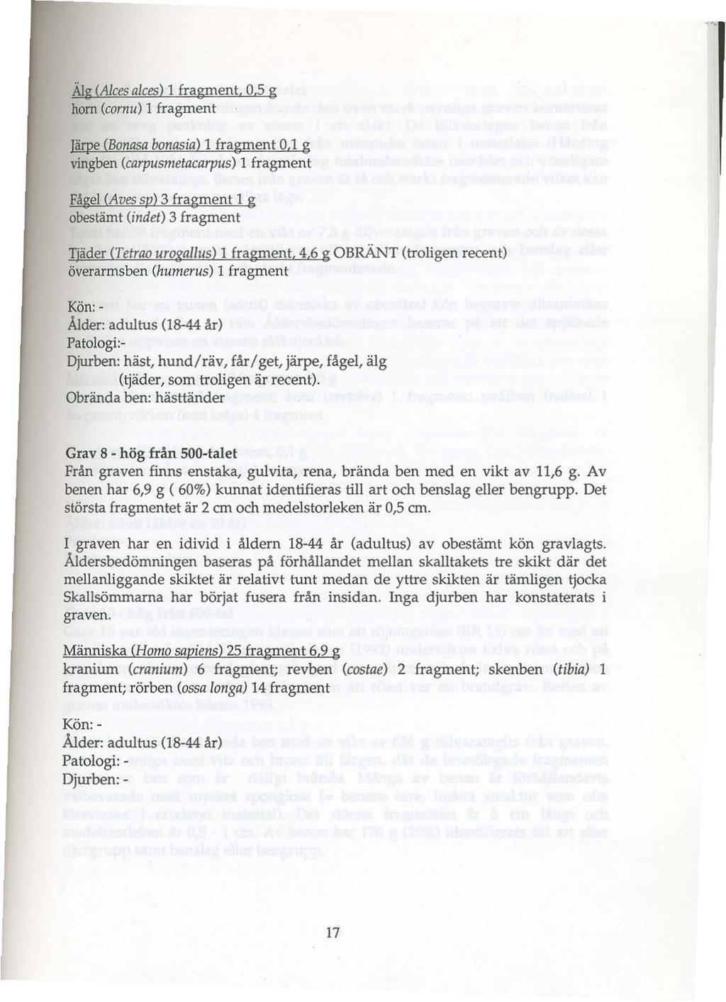 Älg (Alees alees) 1 fragment, 0,5 g horn (cornu) 1 fragment Järpe (Bonasa bonasia) 1 fragment 0,1 g vingben (carpusmetacarpus) l fragment Fågel (Aves sp) 3 fragment 1 g obestämt (indet) 3 fragment