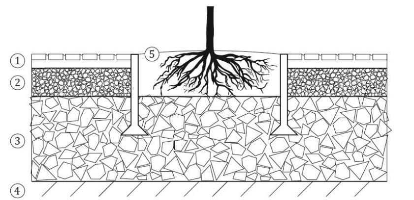 Figur 5-3. Principskiss på en överbyggnad med skelettjord. 1, slitlager 2, luftigt bärlager, 3 skelettjord 4, befintligt luckrad terrass 5, planteringsgrop med växtjord.