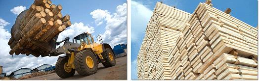 BERGS TIMBER BOLAGSBESKRIVNING Geografisk koncentrerad produktion Bergs Timber har varit aktiva inom konsolideringen de senaste åren och idag består bolaget av sex anläggningar.
