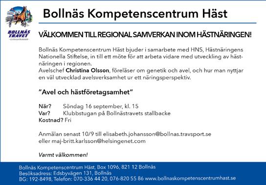 TILL SALU Lill Majsan f-16 e. Hovfaksen u. Lill Konvalj Lill Vera f-16 e. Hovfaksen u. Moe Bettan Lill Mats f-16 e.