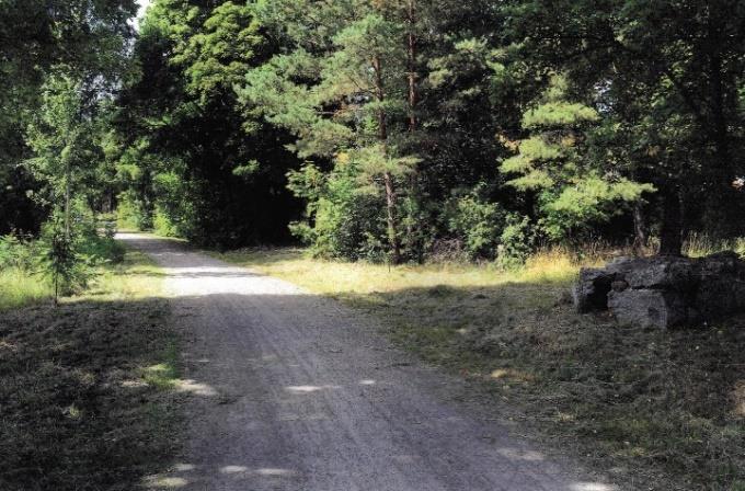Vägen genom Tibble by. Till höger ses en milstolpe. Vägen var landsväg fram till 1940. Foto författaren 2013. Enköpingsvägen österifrån vid Högnäs.