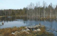 Ett stort antal kommuner satsar på att anlägga våtmarker. Vänersborg är en av dessa som med hjälp av LIP bidrar till minskad övergödning och ökad biologisk mångfald.